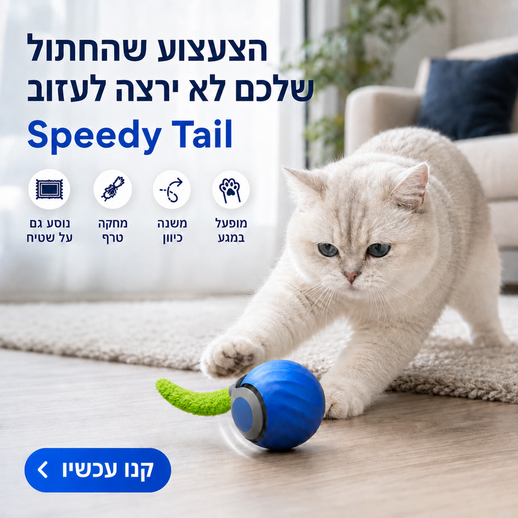 ספידי טייל · צעצוע הציד החכם לחתולים